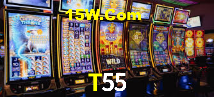 T55 App Interface