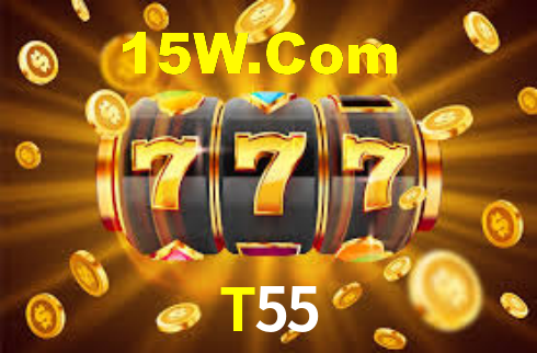Premium Interface T55