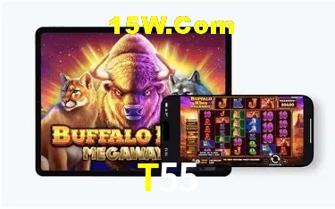 Bonus Features T55